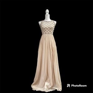 Elegant Boutique Champagne Pink Prom/Bridesmade/Wedding guest/Opera/Event dress